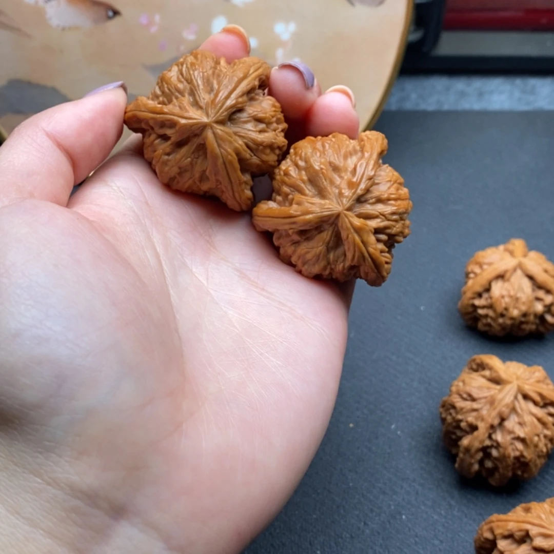 力***者白狮子11111111111