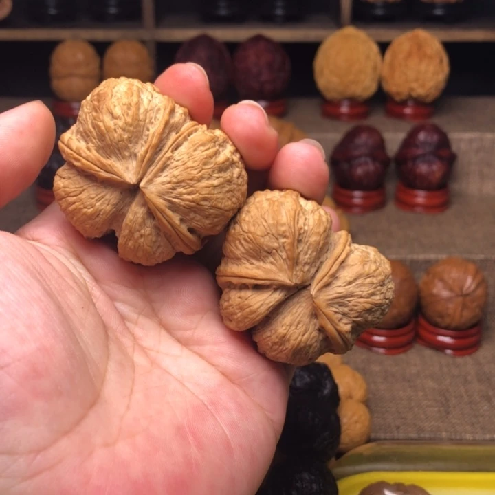 把件橄榄核56蝴蝶两连