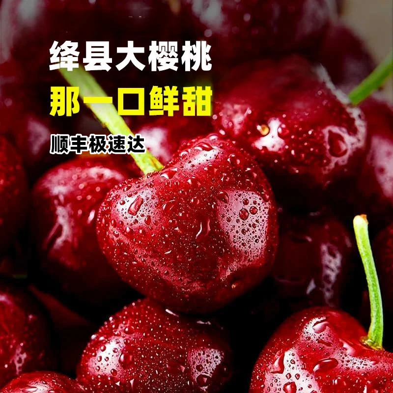 【山西专享】运城大樱桃美早布鲁克斯大田头茬现摘现发孕妇水果顺丰