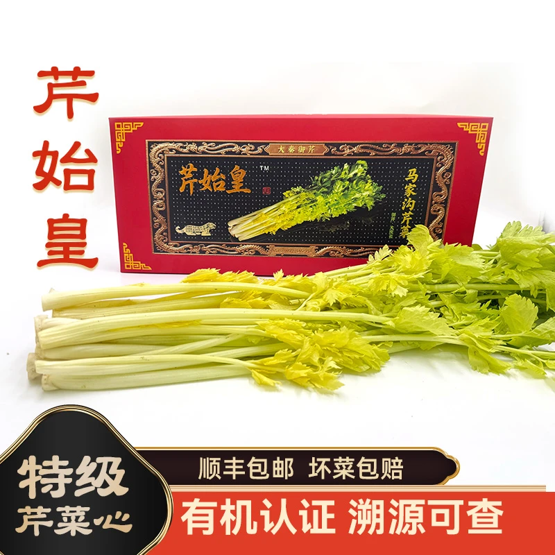 芹始皇马家沟芹菜贡品芹菜青岛平度特产2斤有机芹菜芯顺丰包邮
