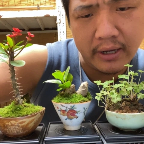 红陶不*哥一物一拍所见即所得214