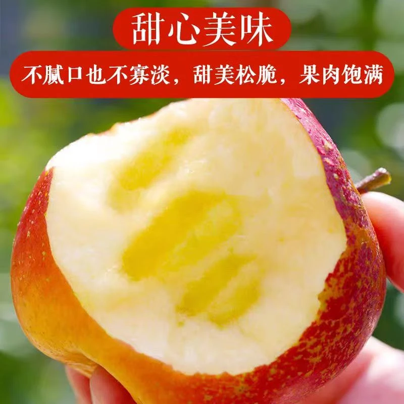 【25年正宗】冰糖心红富士苹果新鲜水果当季应季整箱脆甜多汁丑苹果