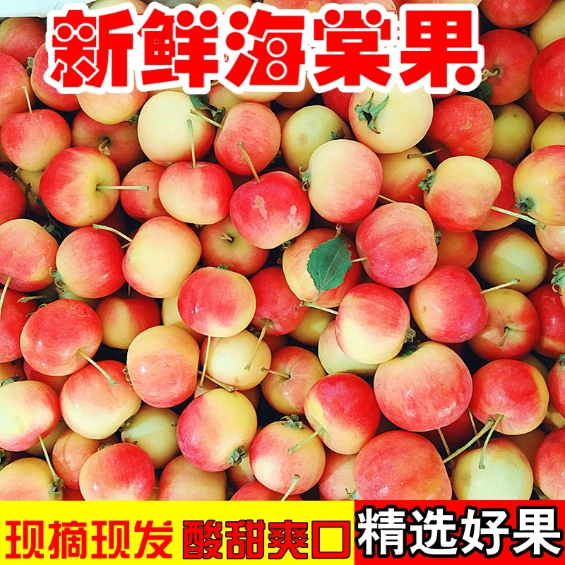 【爆款】顺丰东北沙果特产海棠果新鲜当季应季孕妇酸甜脆秋红小苹果