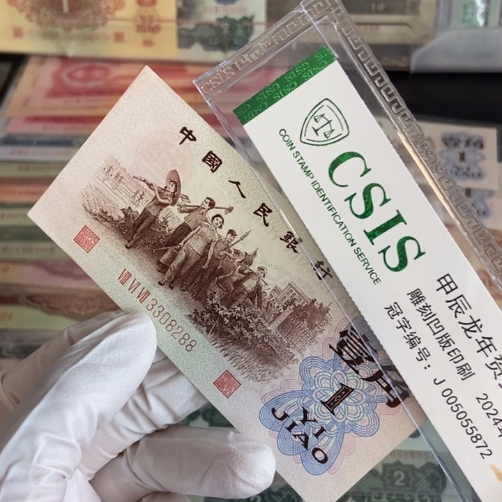 背绿： 288……………………