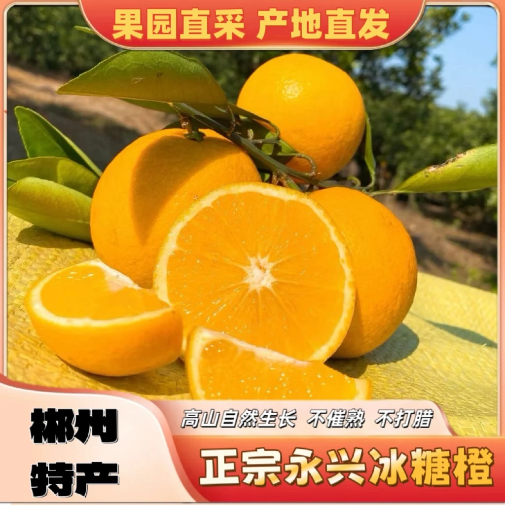 【郴州特产】正宗永兴冰糖橙产地直发新鲜纯甜多汁不上火应季水果