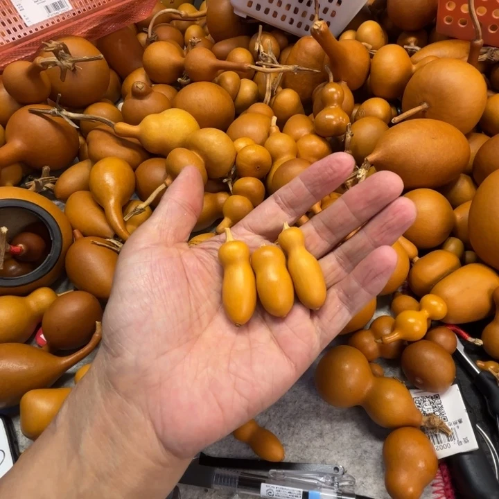 叫***字叫这个名字的三把小瓶子葫芦