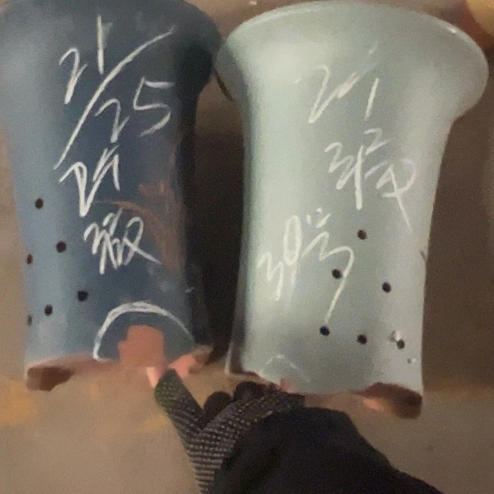 30……………………………………………………