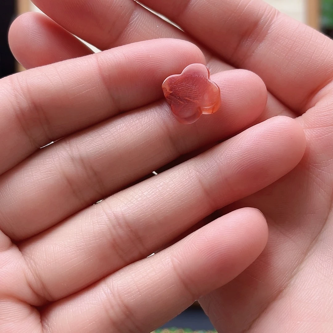 雯***宝南红玛瑙银S925镶嵌耳饰