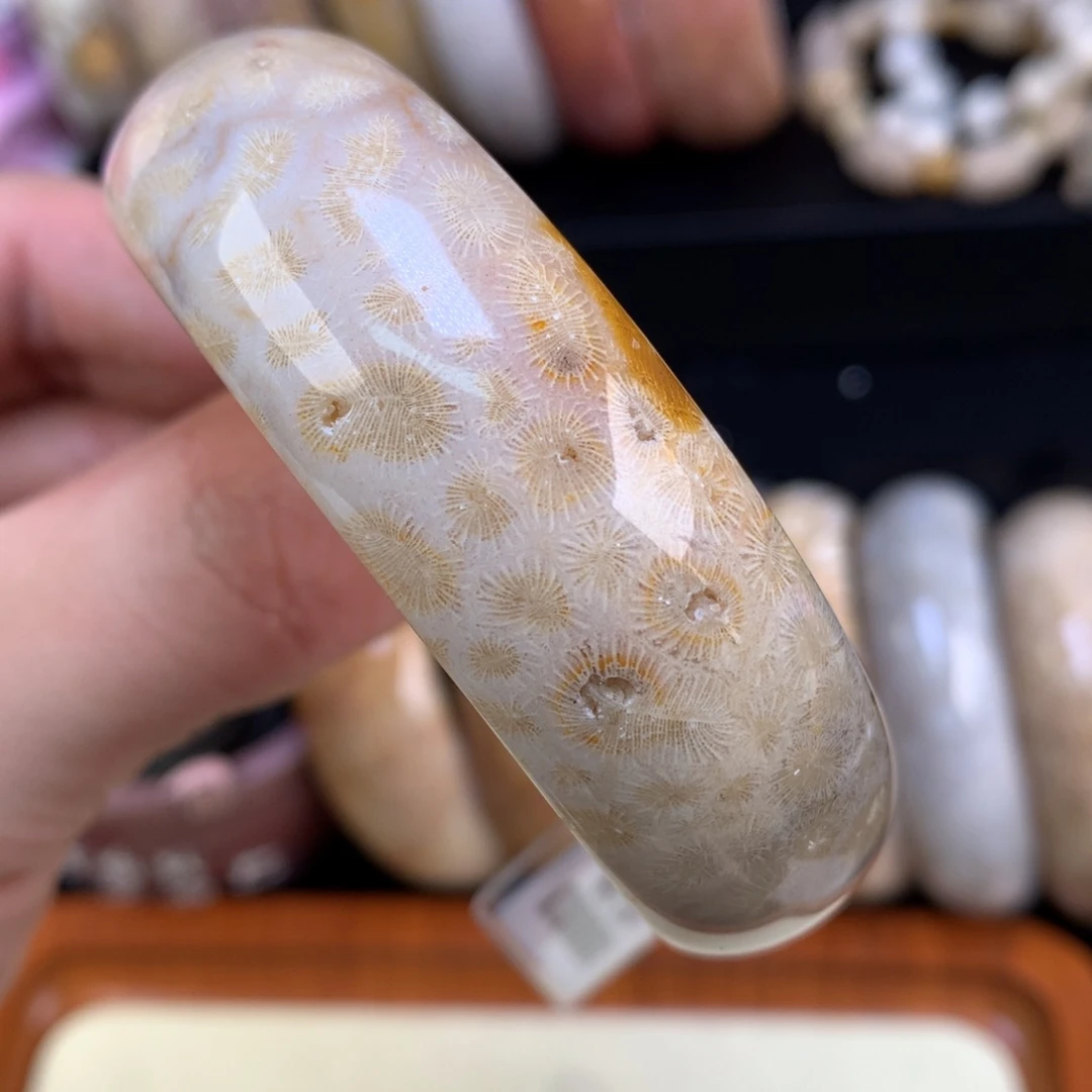 硅化珊瑚（珊瑚玉）未镶嵌颈饰71号55圈胖虫