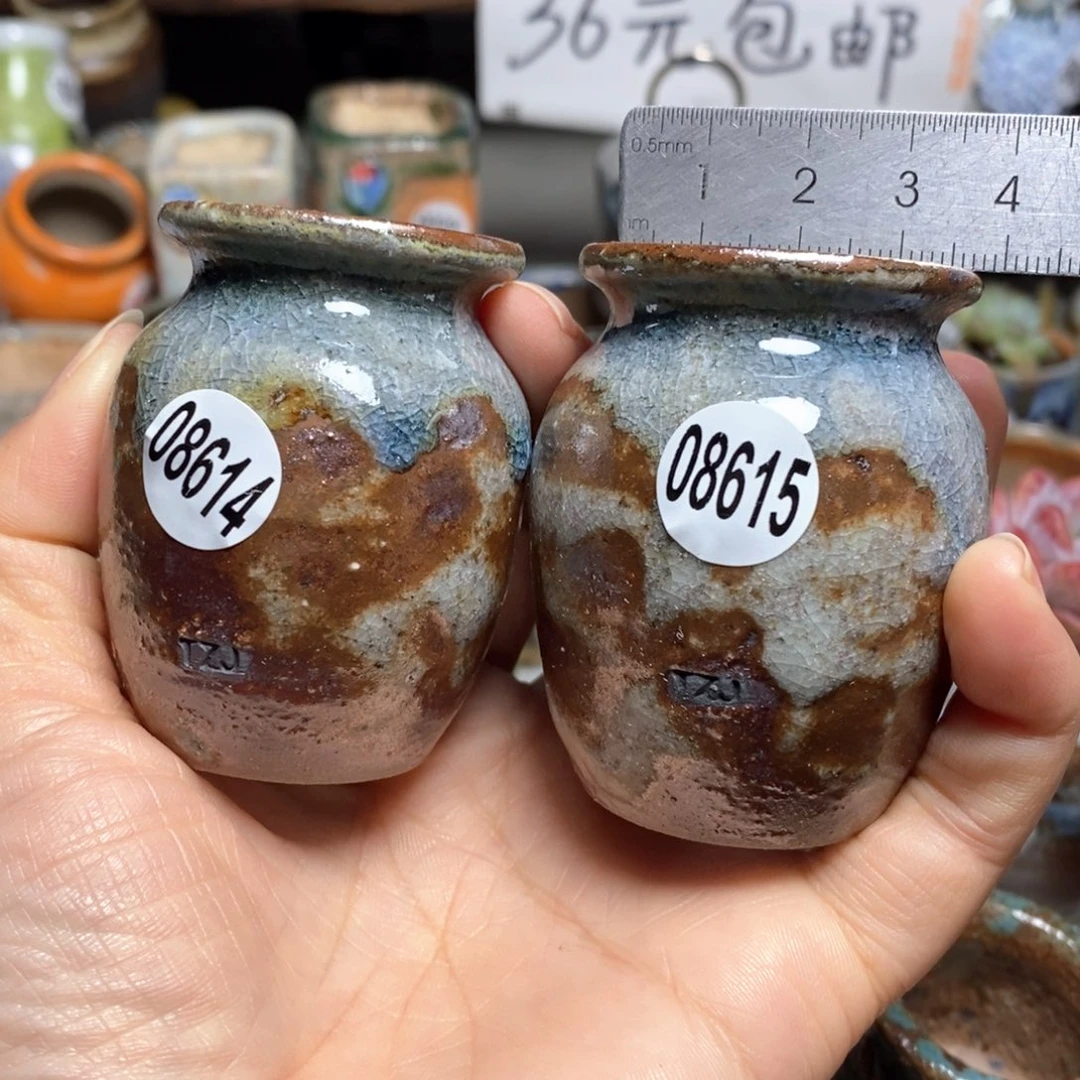 土***?花盆拍5送一个小礼物