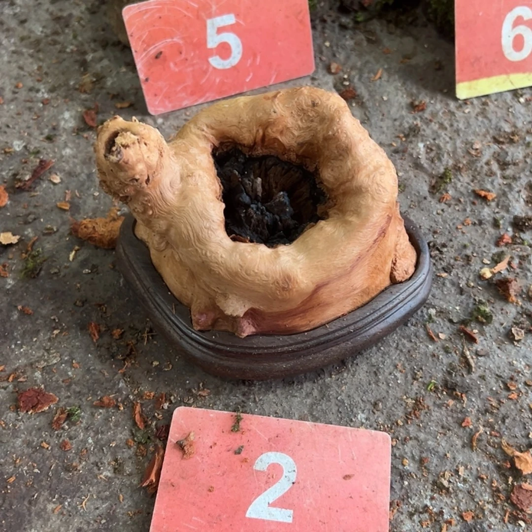 扬***。荔枝木荔枝木随型香炉摆件128