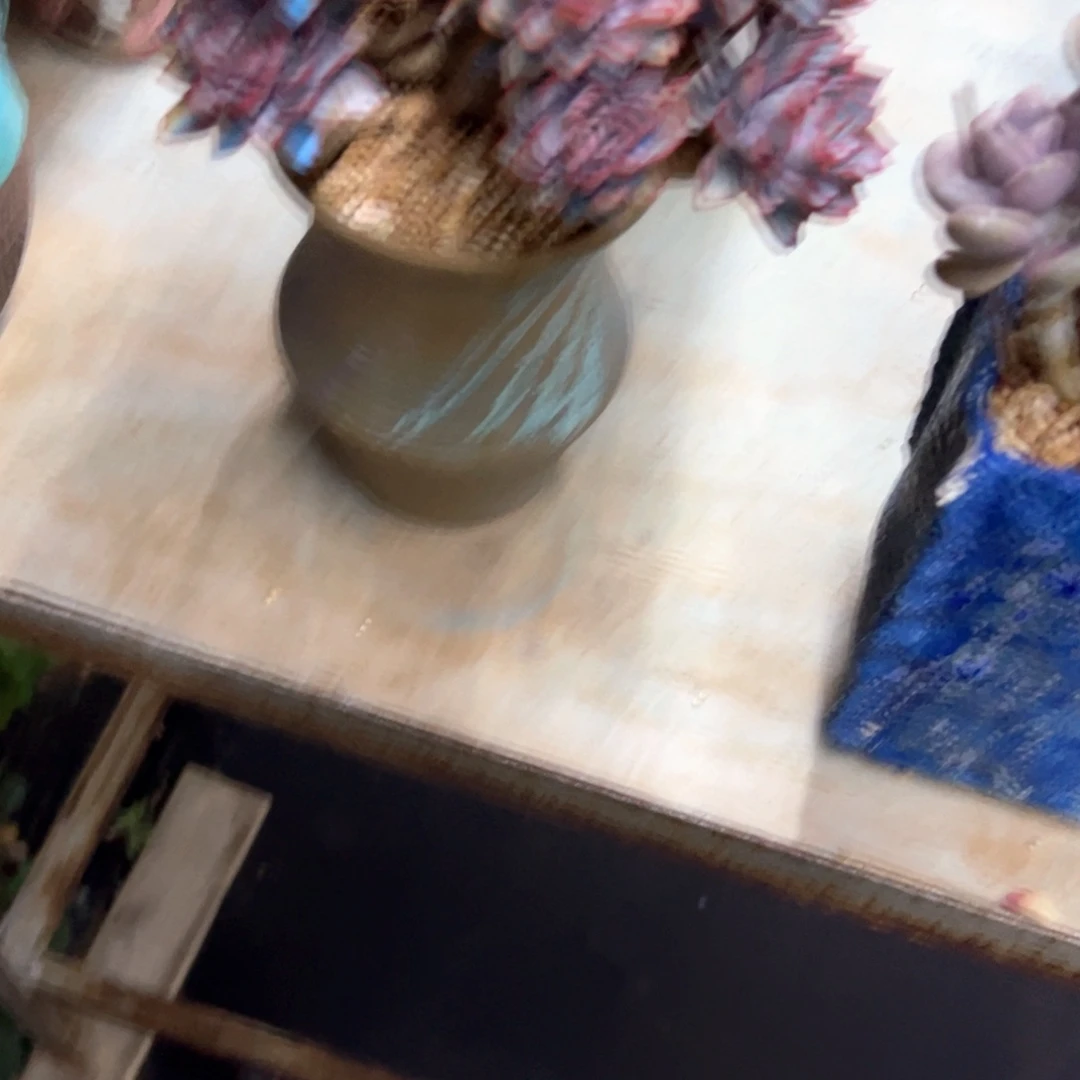 ?**?保温棉0.1 零零多肉植物