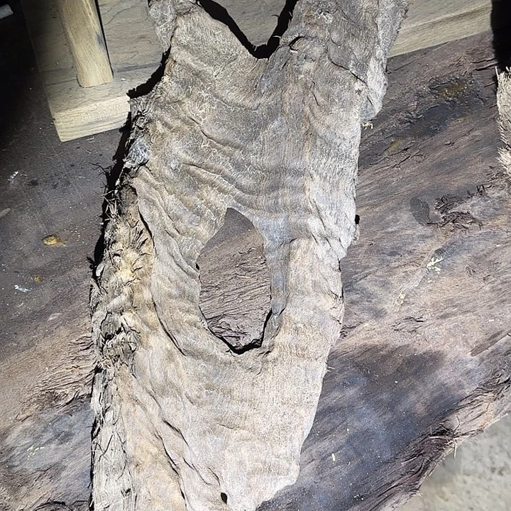 香榧木金丝楠木原料摆件