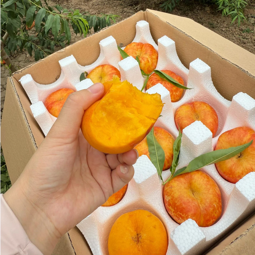辽宁东戴河特大黄油蟠桃纯甜爆汁新鲜现摘坏果包赔蒙阴中华大寿桃