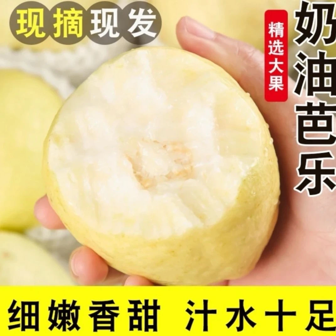 《胖丫》正宗三亚奶油芭乐净3斤包邮送货上楼困软吃奶糯清甜正宗番石榴软糯红心芭乐