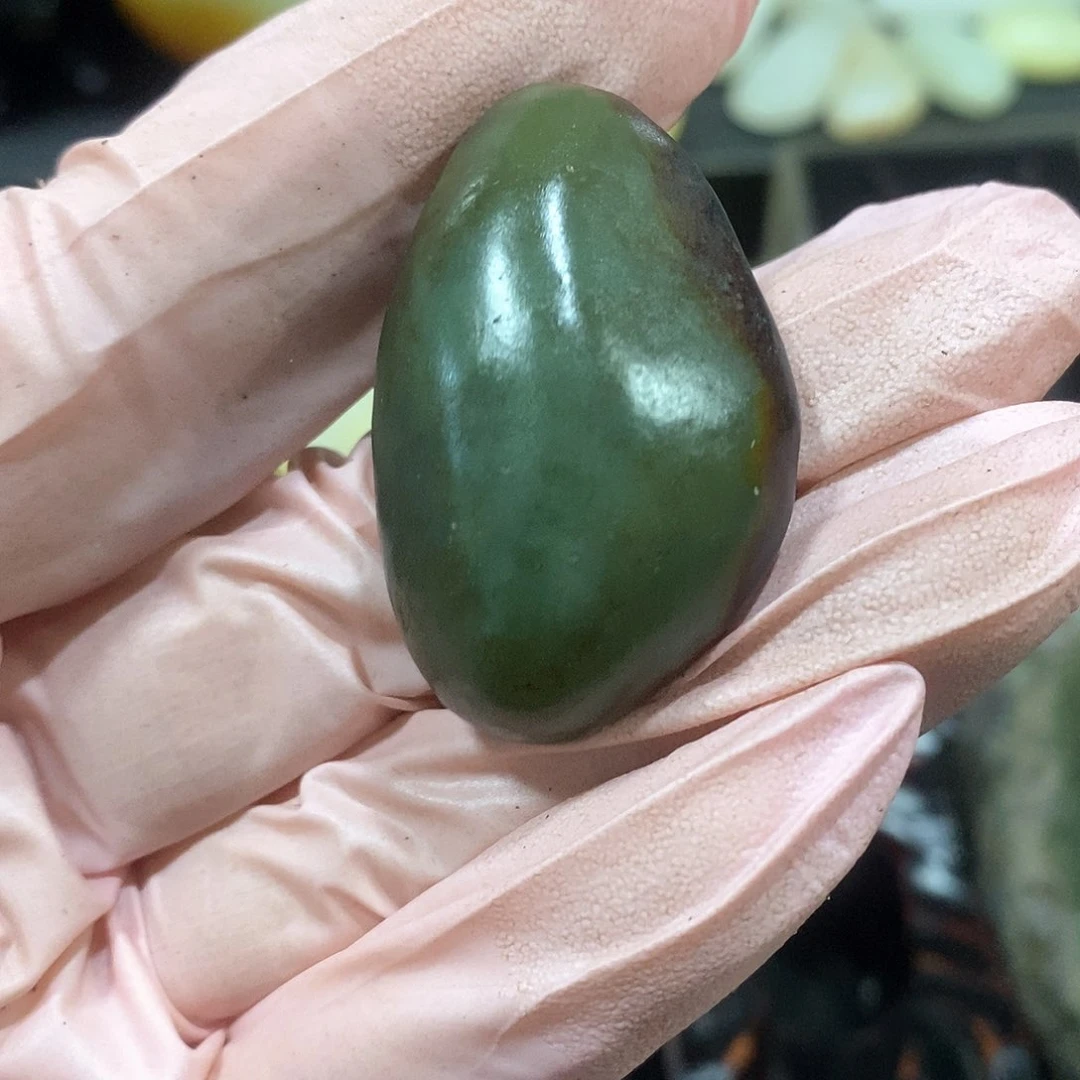 未镶嵌和田玉（糖玉）挂件