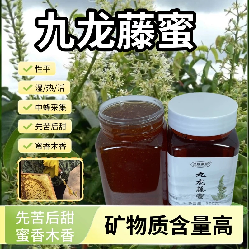九龙藤蜜 岭南土蜂采集YC花蜜 蜂蜜 纯蜂蜜 农家土蜂蜜 官方正品
