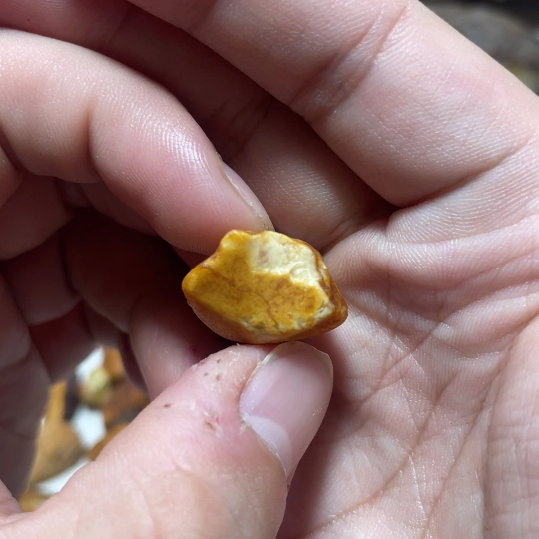 定制琥珀天然原矿