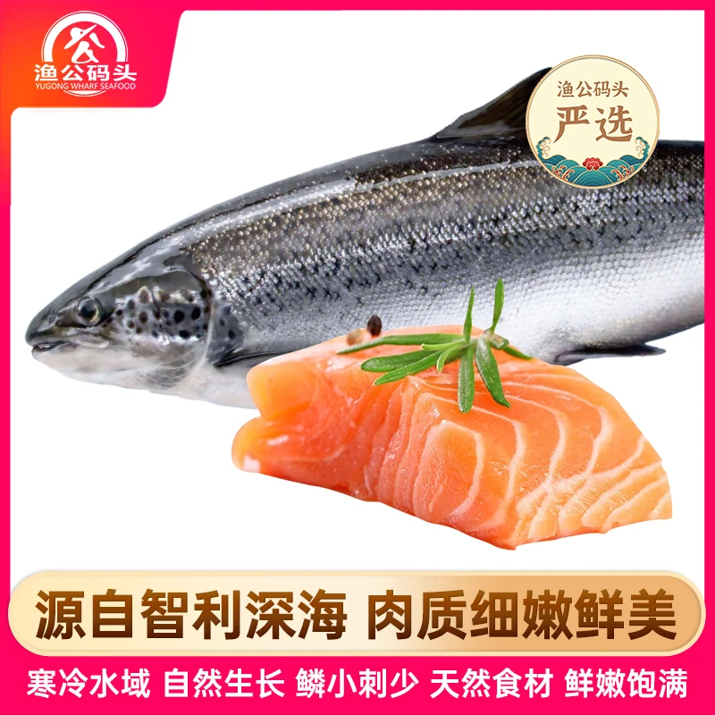 【自播专享】渔公码头三文鱼礼盒-A10   5000g