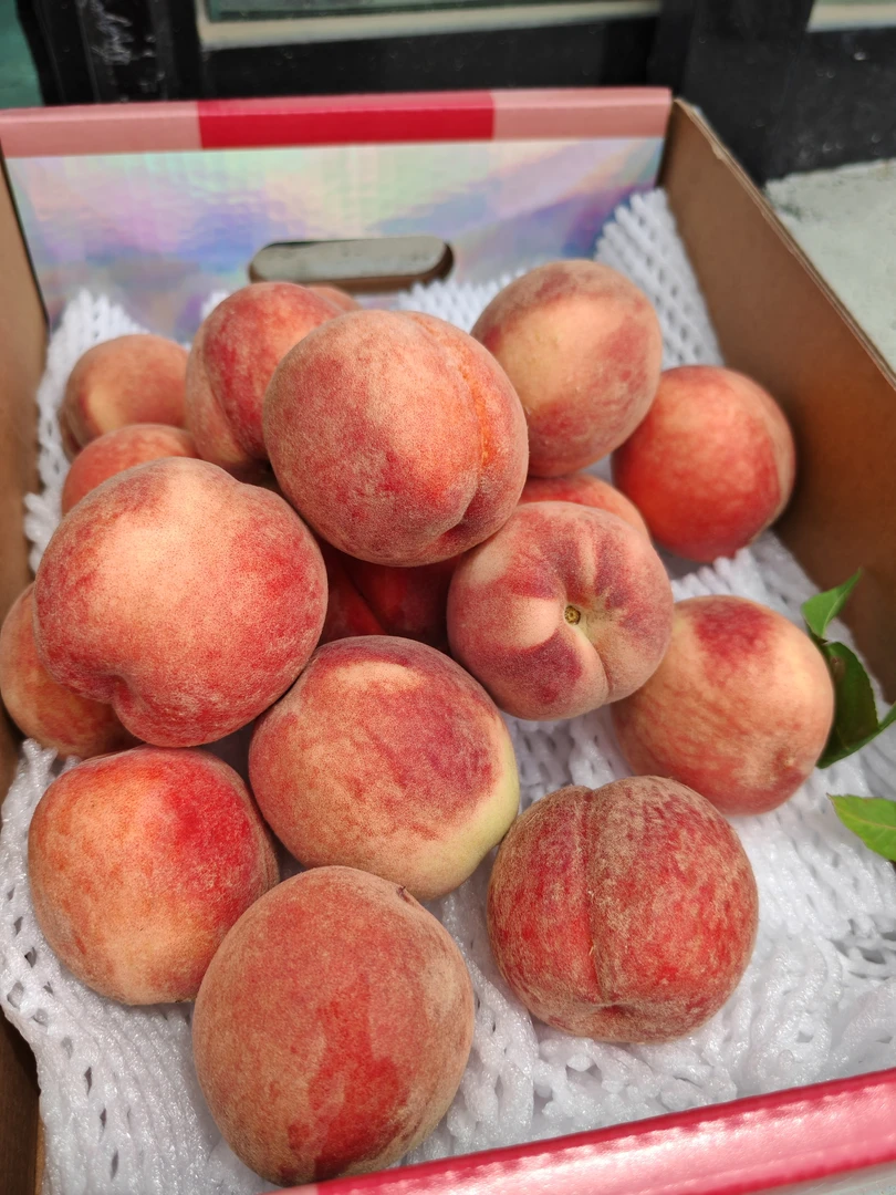 喜乐【蜜桃】软甜桃味十足，来自成都龙泉驿，净果2.8~3斤【顺丰到家】