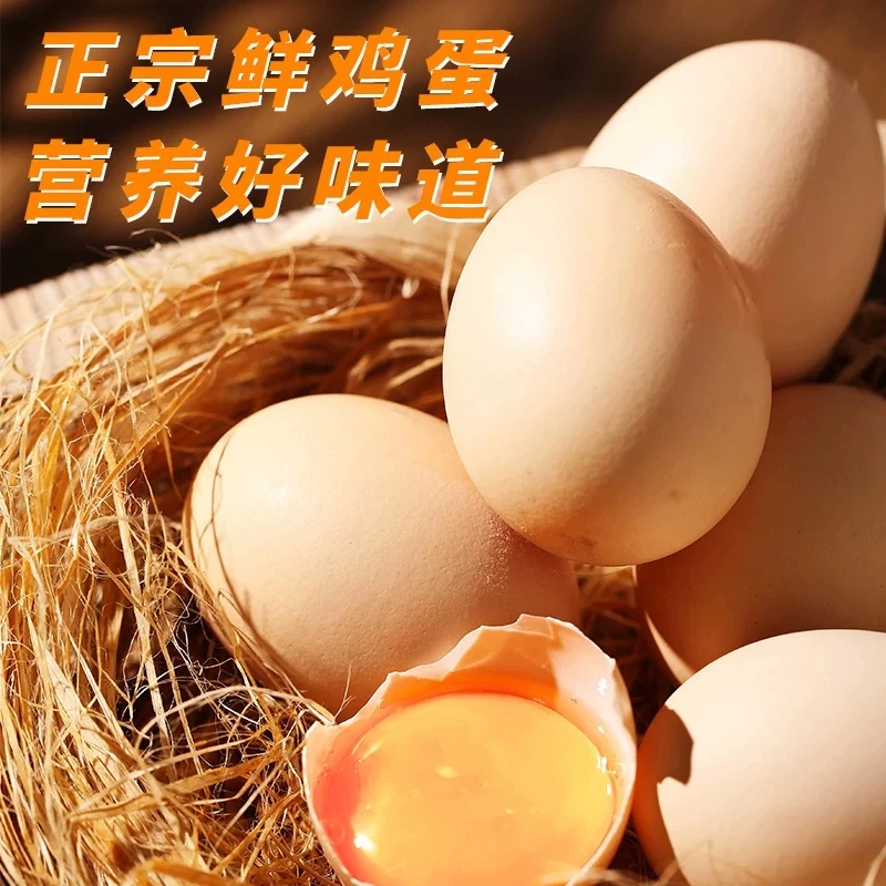 【笨鸡蛋50枚】农家散养土鸡蛋新鲜柴鸡蛋纯农村柴鸡蛋现捡鲜蛋