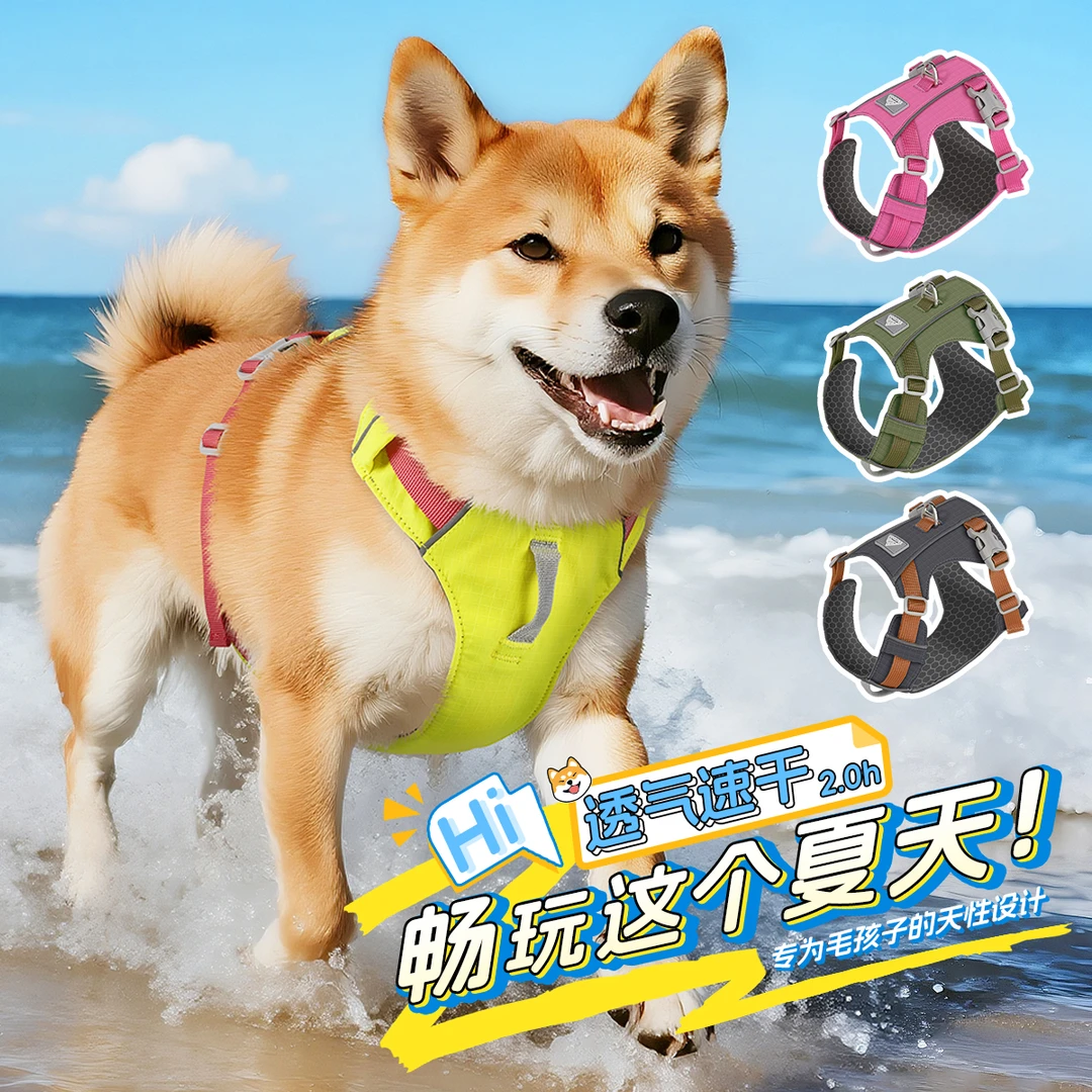 夏季狗狗胸背带轻量舒适透气速干中小型犬专用可调节外出牵引绳
