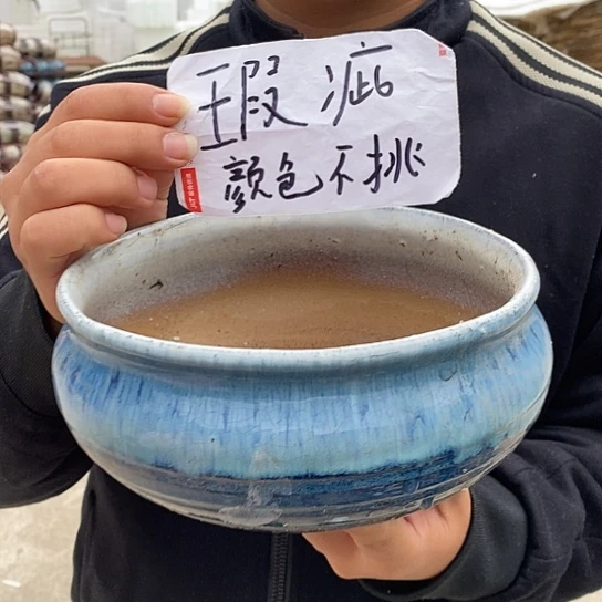 瑕疵颜色不挑瑕疵