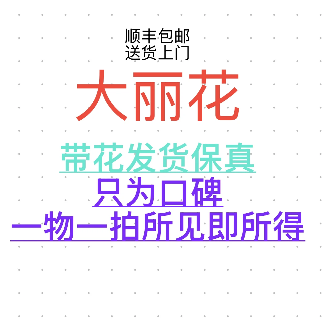 大丽花种球四季花卉盆栽室内外地栽大丽菊地瓜花重瓣球根花卉植物