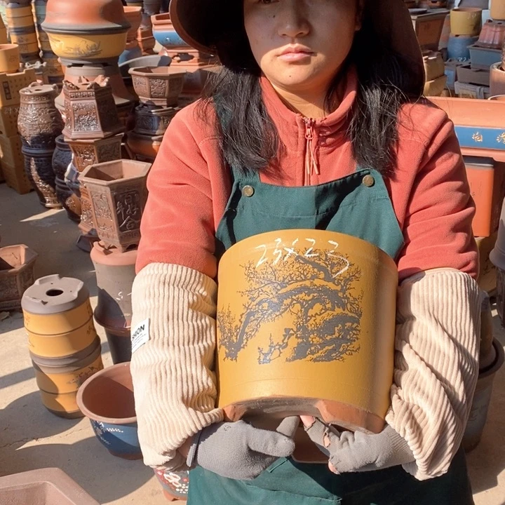 紫砂花盆盆栽花卉苗木种植