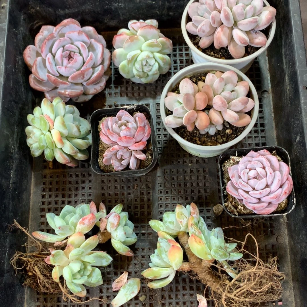 哈哈哈哈哈哈哈哈哈哈哈哈