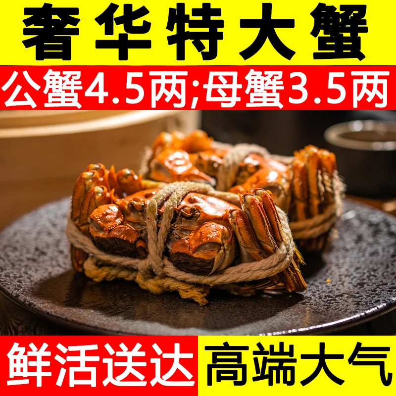 【活蟹】 螃蟹 公：4.5-4.3两/只 母蟹3.5-3.3两/只 精品蟹6/8/10只 顺丰/京东冷链 赠吃蟹工具精美礼盒 青蟹