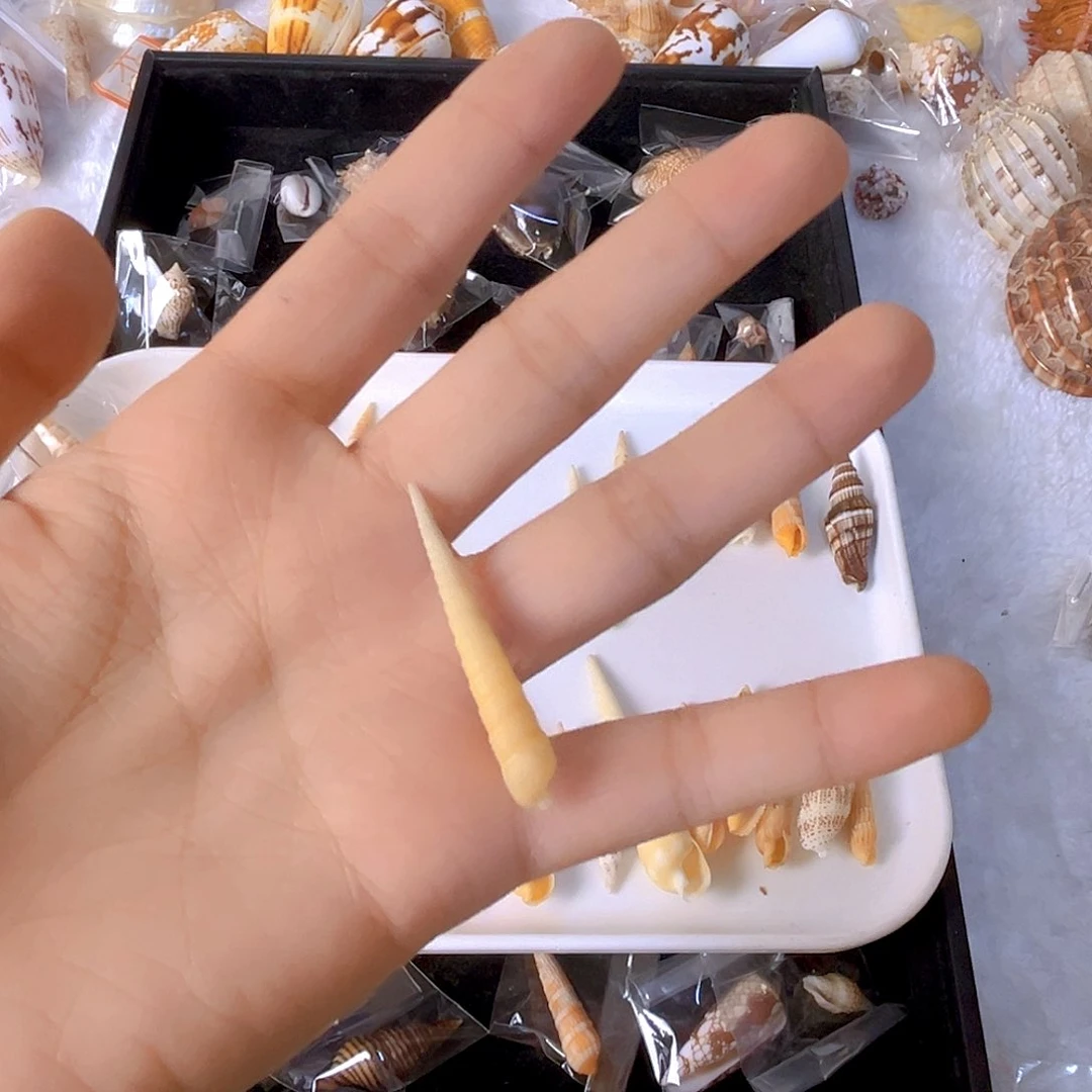 大理石磁石爱***?天然贝壳特价款不退不换