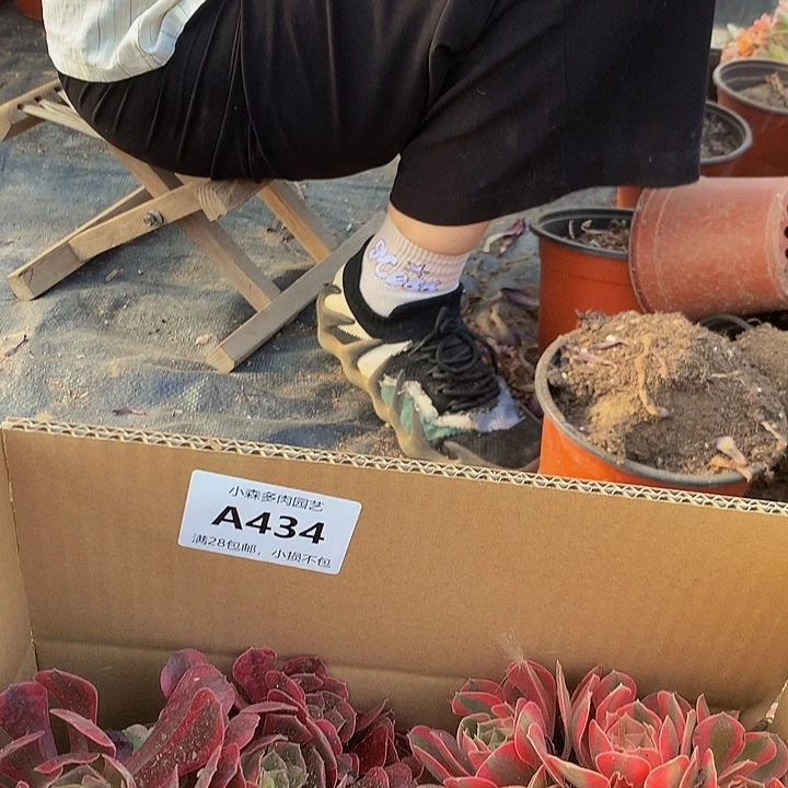 434，88888888888888