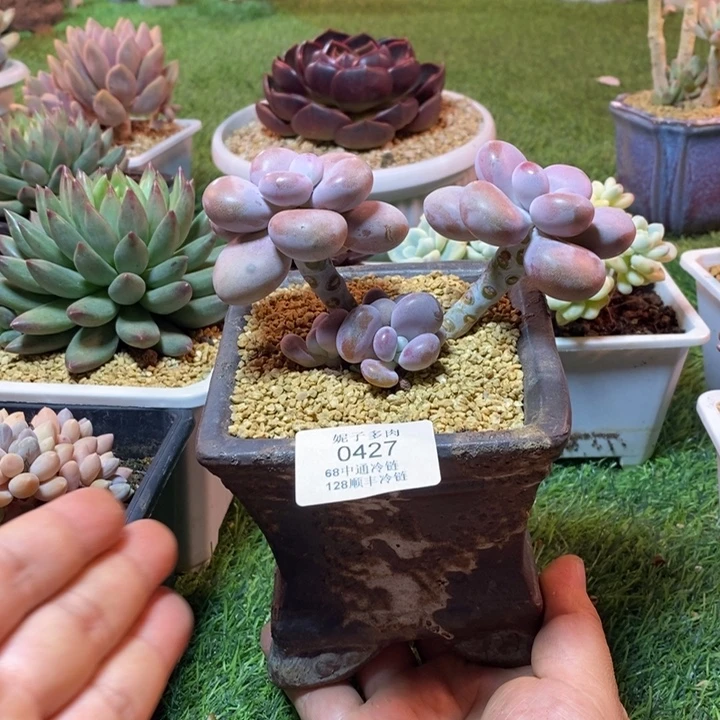 0427啊啊啊啊啊啊啊啊啊啊啊啊