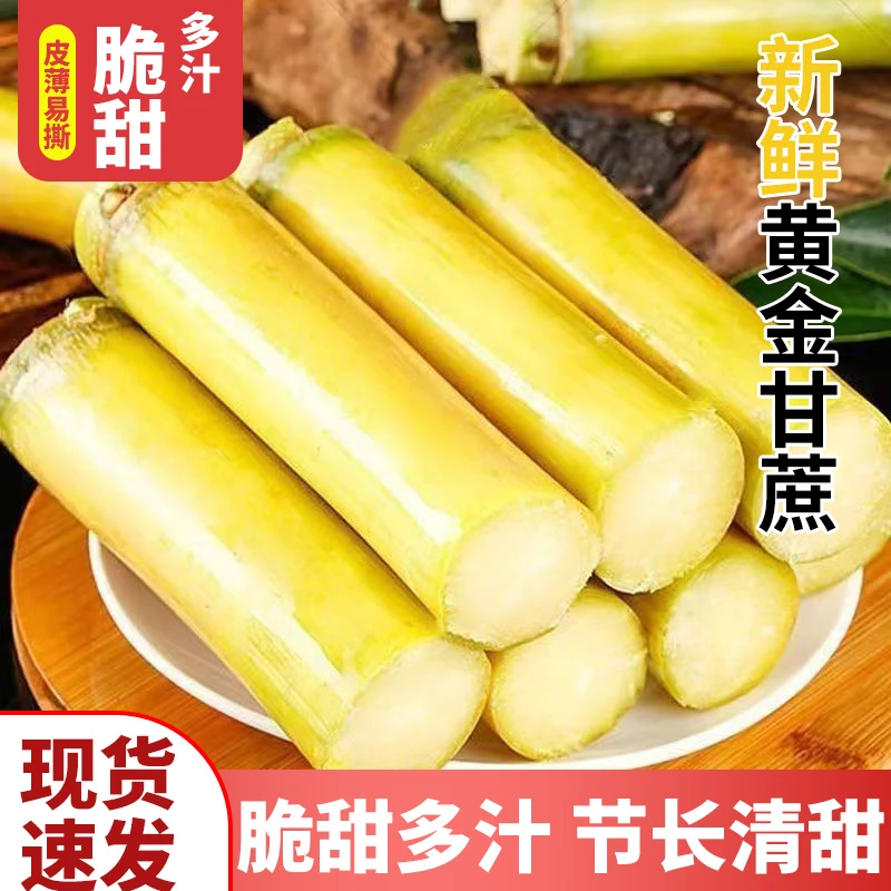 云南黄金甘蔗新鲜当季水果现砍黄皮甘蔗脆甜多汁WH