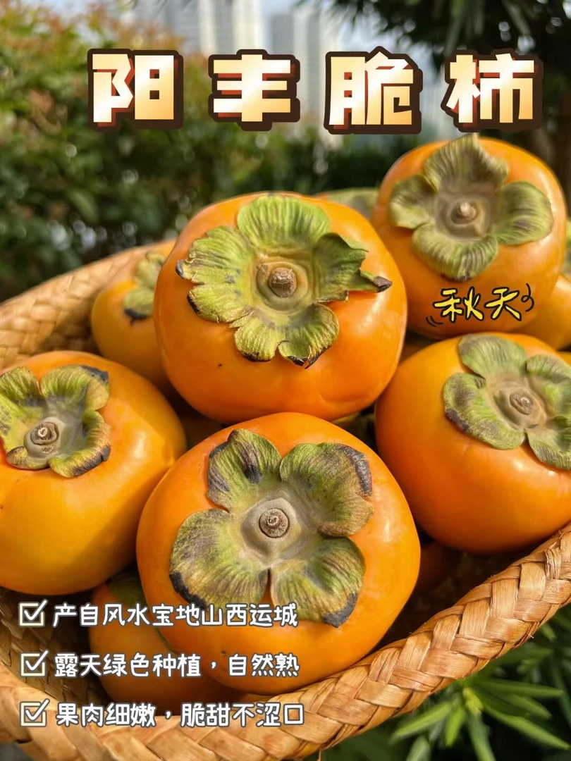 阳丰巧克力脆柿新鲜采摘脆甜多汁不涩应季水果