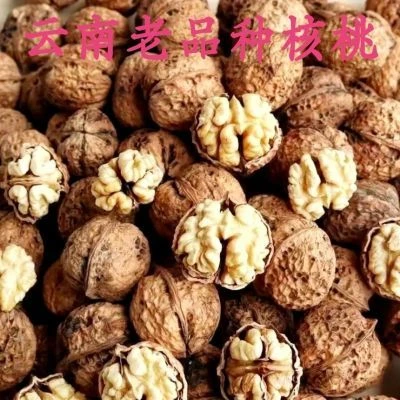 云南老树核桃高山新货酥脆香干核桃原味无添加孕妇每日坚果零食