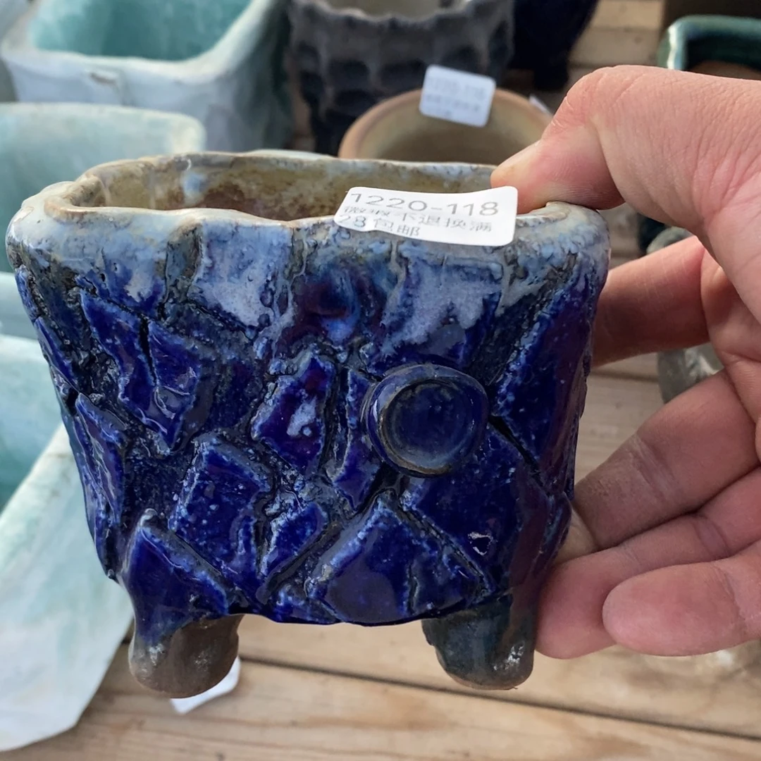 118号花盆内9.5高10