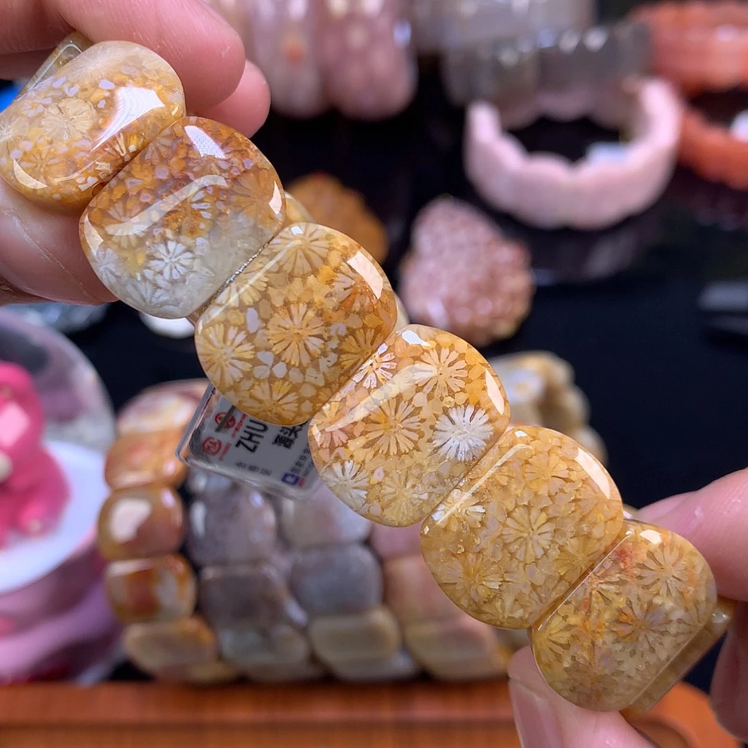 【闪购商品】颈饰未镶嵌硅化珊瑚（珊瑚玉）44号星星花超绝