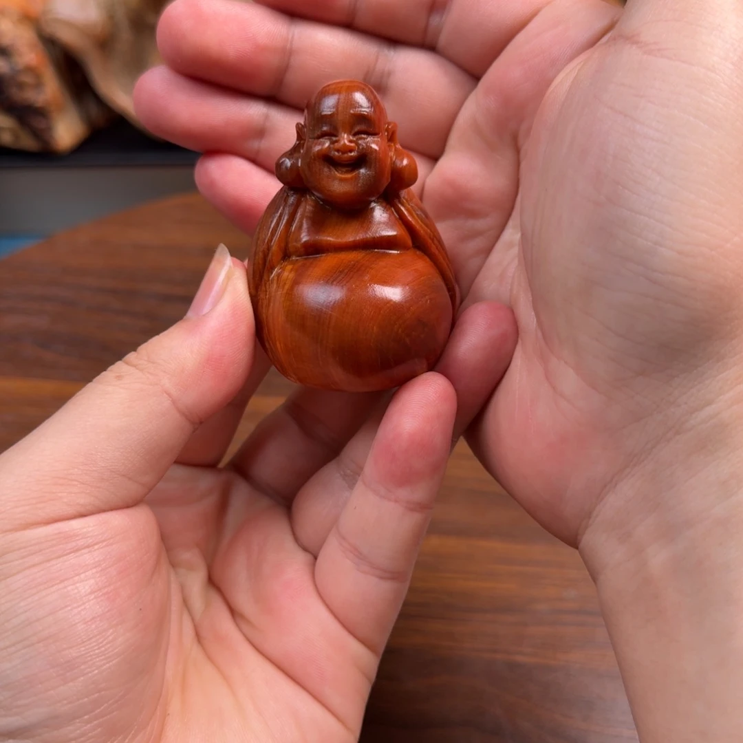 可***羊柏木（崖柏）太行崖柏