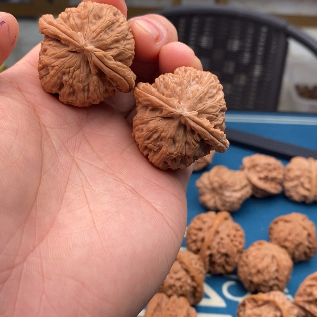 7***1文玩核桃吊坠文玩核桃手把件白狮子，71