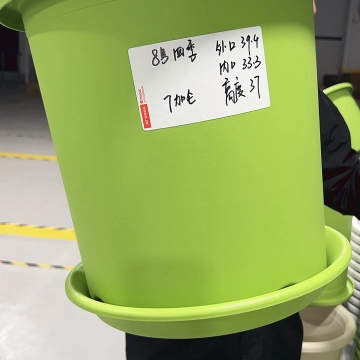 特价8号口39高37果绿色5只带托