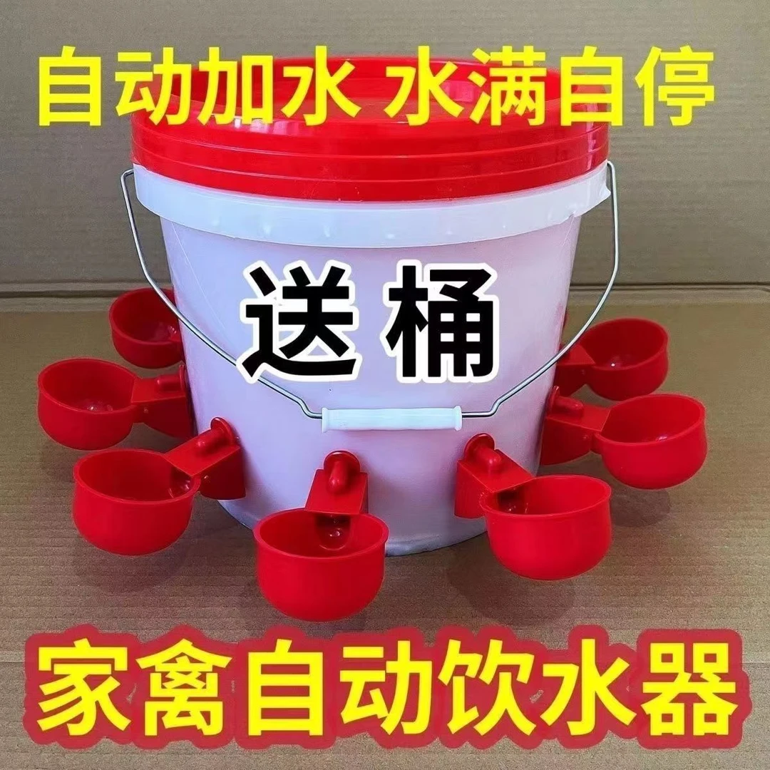 家禽养殖小鸡鸭鹅自动饮水碗饮水器鸽用自动喝水饮水碗鹌鹑鸡食槽