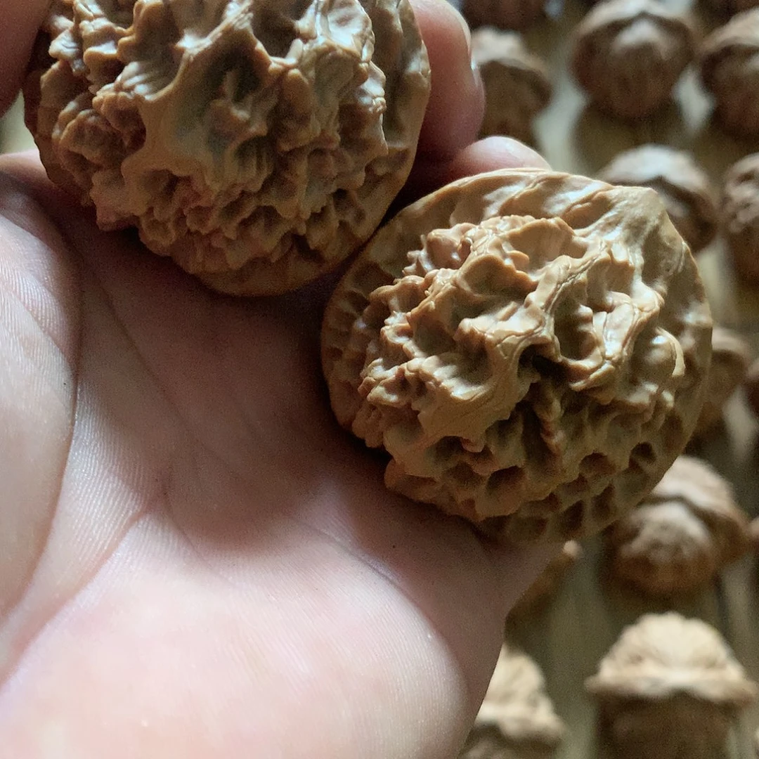 崽*44尺帝王狮子头一对