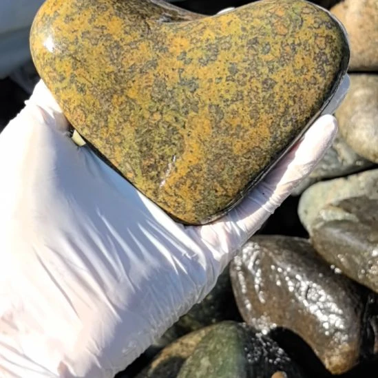 c***g藏玉药王石原石一个