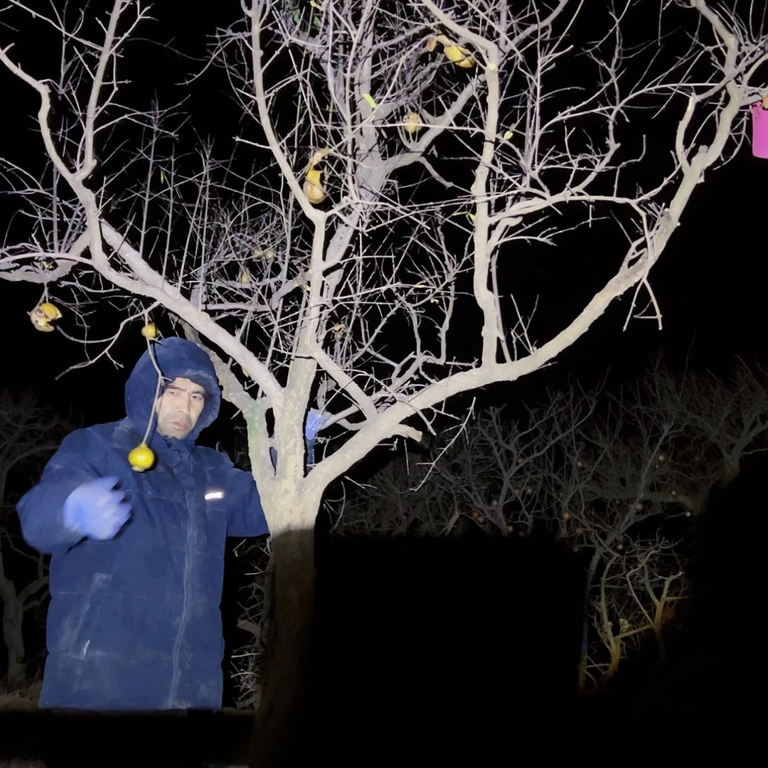 无花朵健健康康快快乐乐