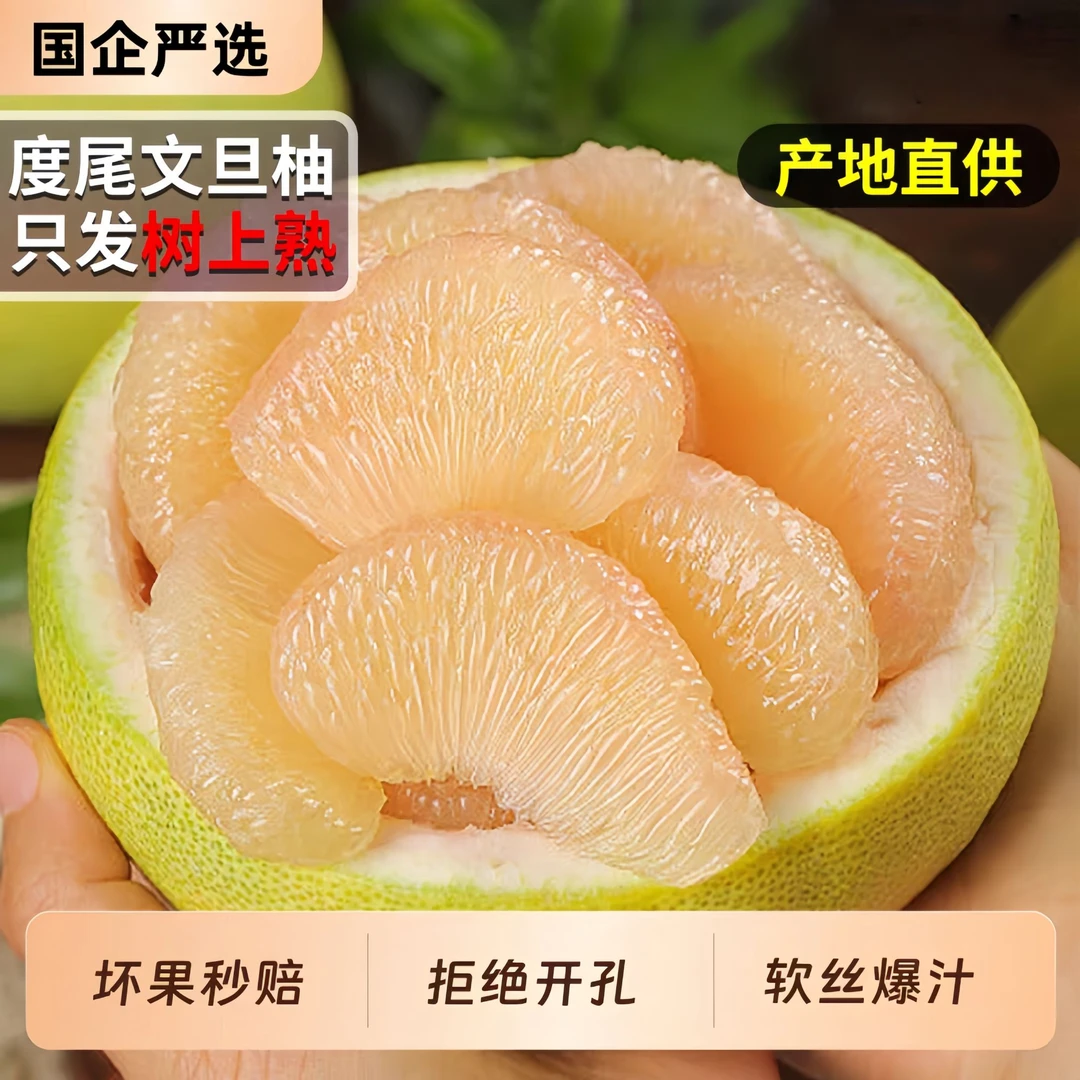 福建仙游度尾文旦柚红心白心新鲜应季孕妇水果酸甜多汁