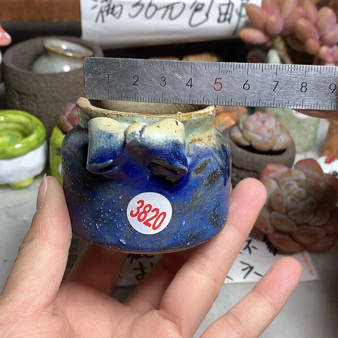 红陶拍5送一个小