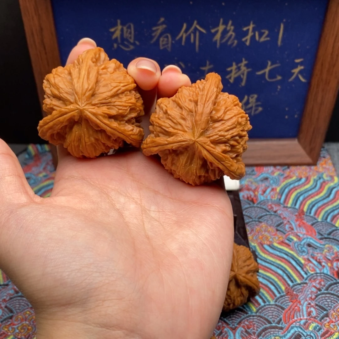【闪购商品】焦****?白狮