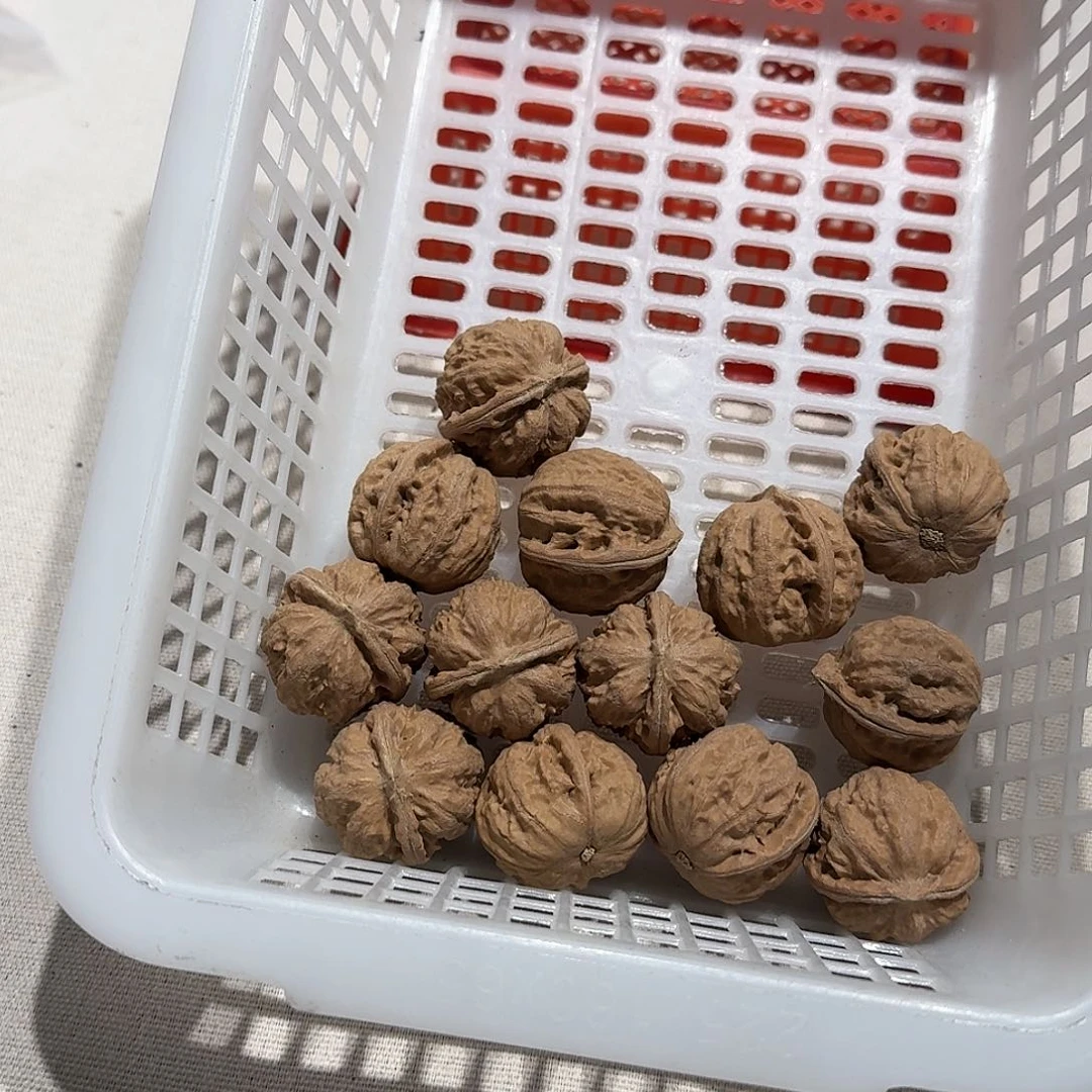 核桃手串/手链23号边27的